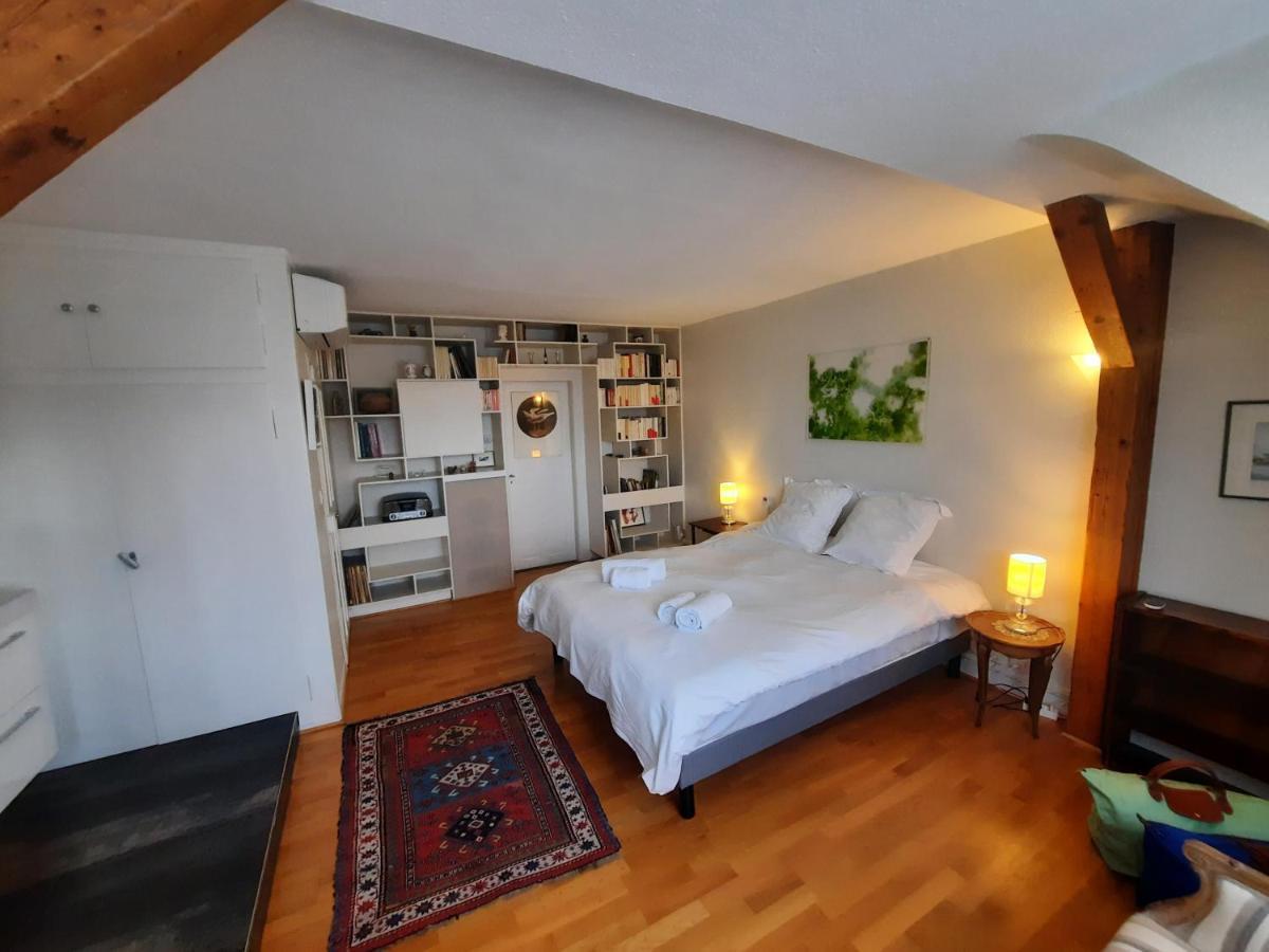 145m² city center 4 bedrooms view of the Cathedral Straatsburg Buitenkant foto